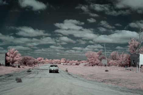 El crepúsculo de las especies : Foto