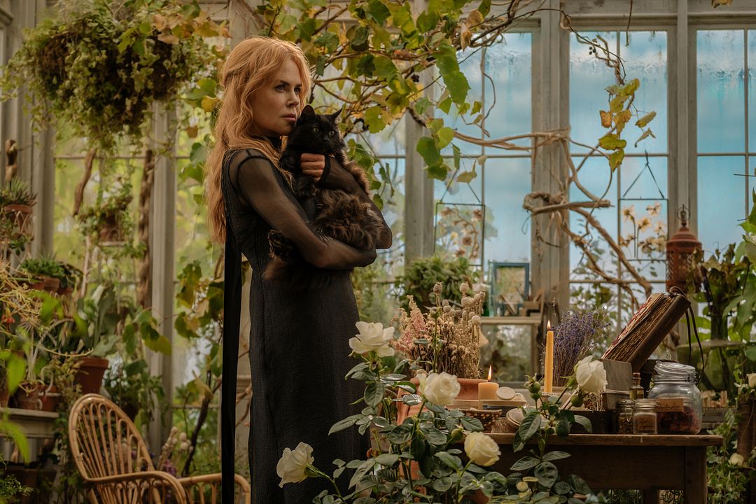 Hechizo de Amor: La magia continúa : Foto Nicole Kidman