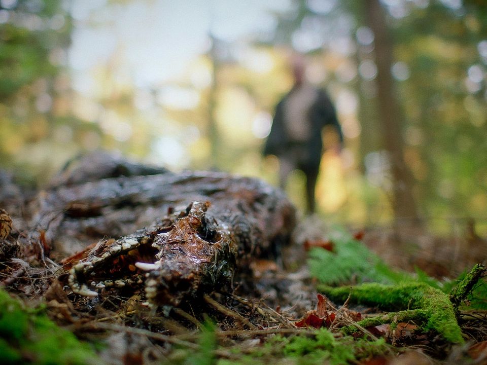 De Naturaleza Violenta : Foto