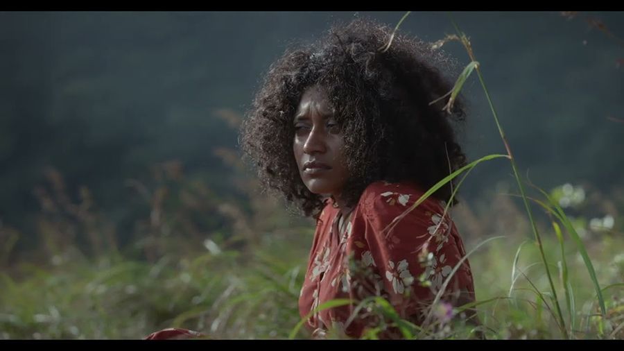 Turtle’s Gaze on Spying Stars : Foto