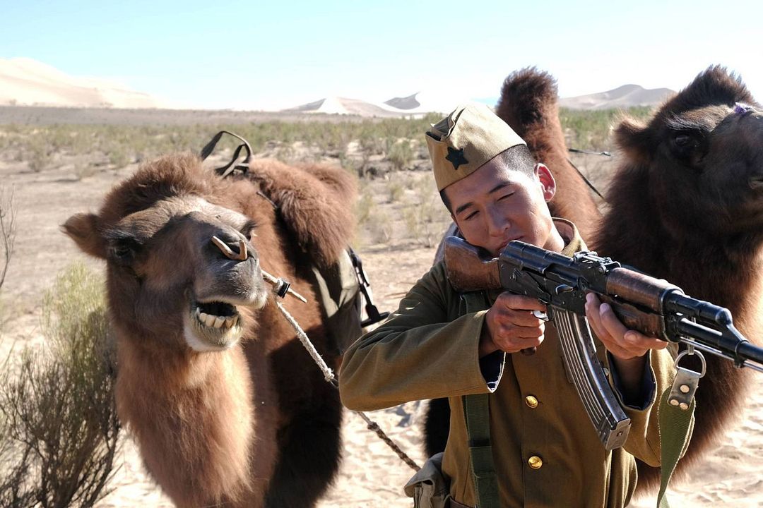 On the Way to South : Foto