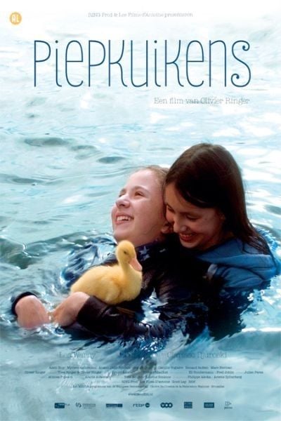 Aves de paso : Póster