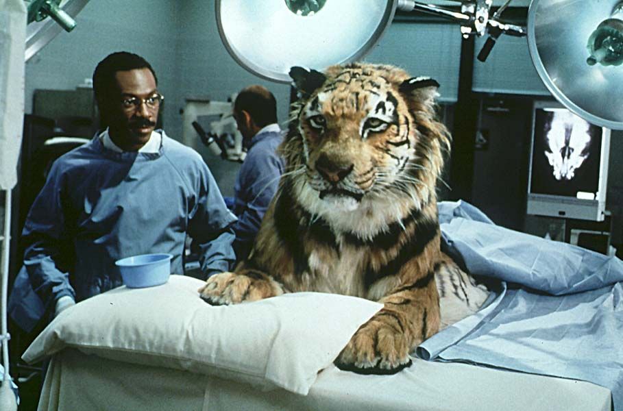 Dr. Dolittle : Foto Betty Thomas, Eddie Murphy