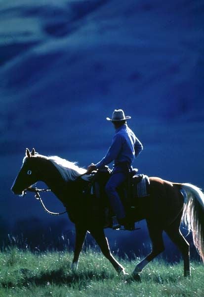 El señor de los caballos : Foto Robert Redford