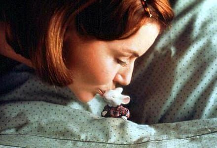 Stuart Little : Foto