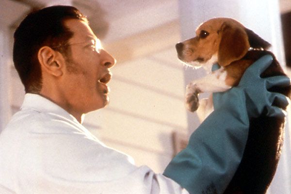 Como perros y gatos : Foto Jeff Goldblum
