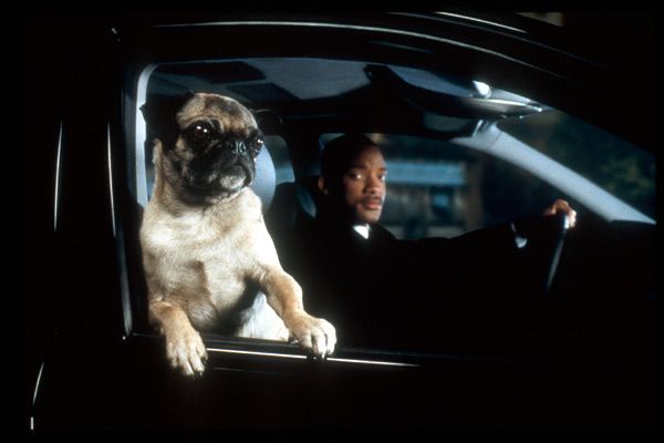 Hombres de negro II : Foto Will Smith