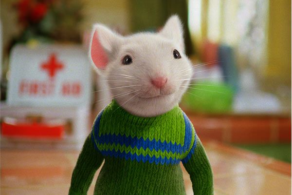 Stuart Little 2: La aventura continúa : Foto