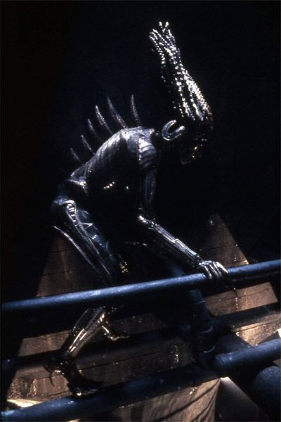 Species (Especie mortal) : Foto