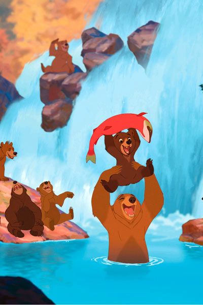 Tierra de osos : Foto