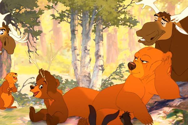 Tierra de osos : Foto