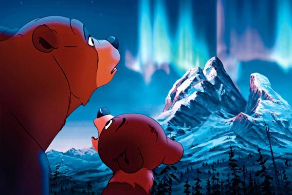 Tierra de osos : Foto