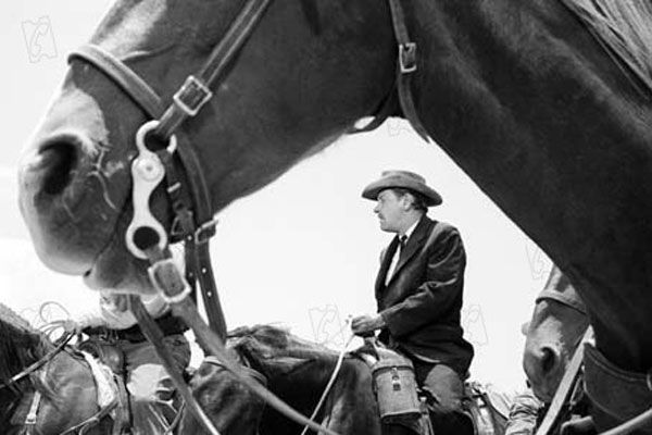 La pandilla salvaje : Foto