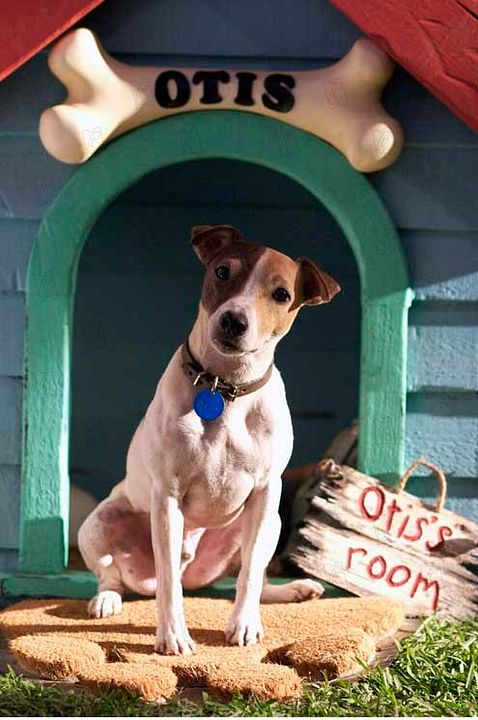 La Máscara 2: El Hijo de la Máscara : Foto