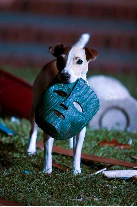 La Máscara 2: El Hijo de la Máscara : Foto