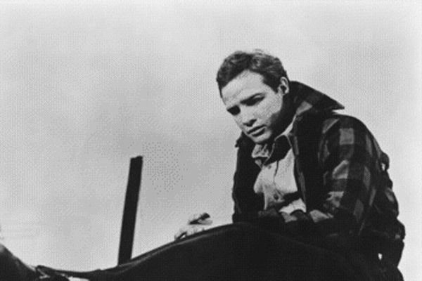 Nido de ratas : Foto Elia Kazan, Marlon Brando