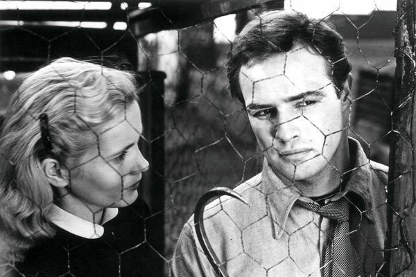 Nido de ratas : Foto Elia Kazan, Marlon Brando