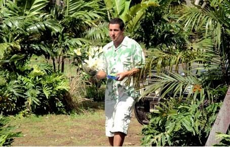 Como si fuera la primera vez : Foto Peter Segal, Adam Sandler