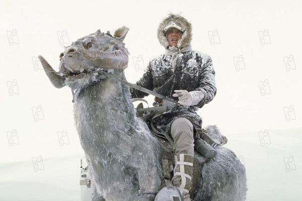 Star Wars : Episodio V - El imperio contraataca : Foto Irvin Kershner, Harrison Ford