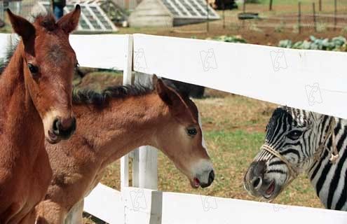 Foto Frederik Du Chau