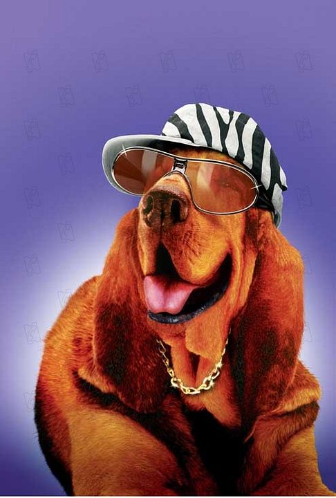 Foto Frederik Du Chau