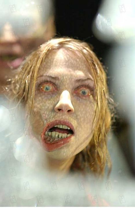 Tierra de los muertos : Foto George A. Romero