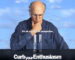 Curb your Enthusiasm : Póster