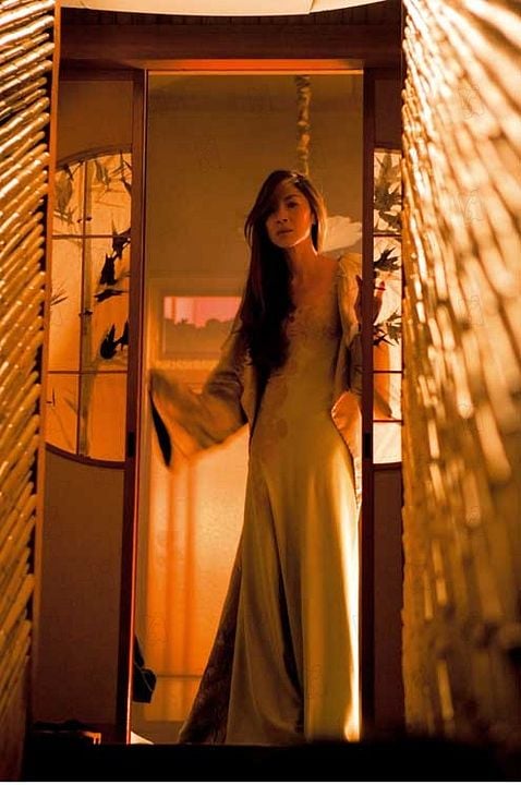 Memorias de una geisha : Foto Michelle Yeoh, Rob Marshall