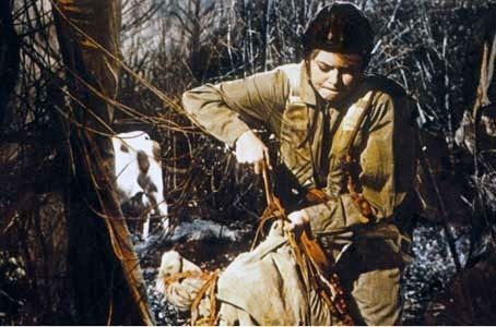 Foto Brigitte Bardot