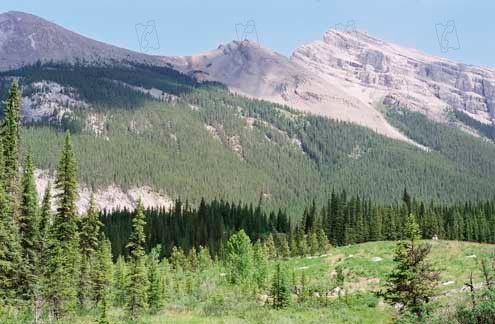 Secreto en la montaña : Foto Ang Lee
