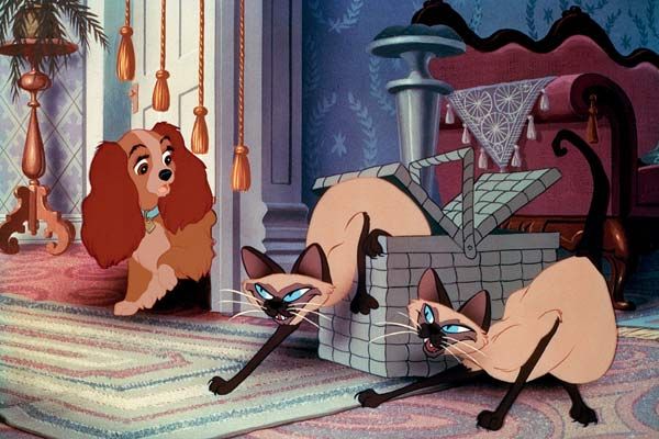 La dama y el vagabundo : Foto Hamilton Luske, Wilfred Jackson