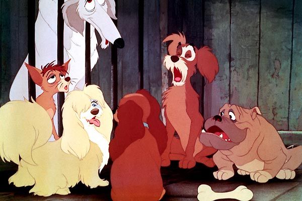 La dama y el vagabundo : Foto Hamilton Luske, Wilfred Jackson