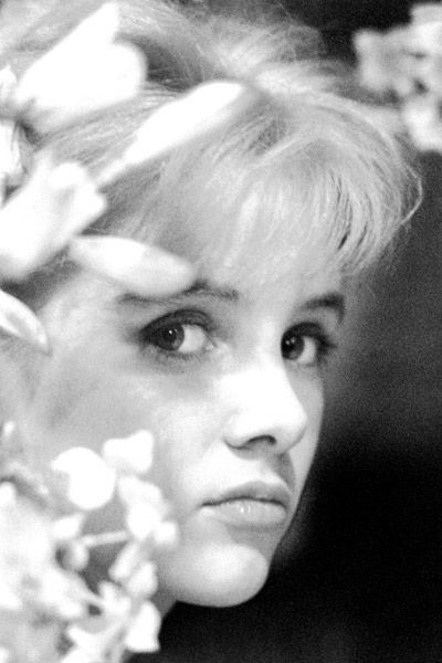 Lolita : Foto