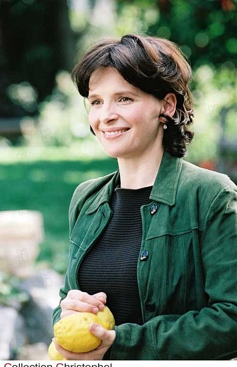 Bee Season : Foto Juliette Binoche