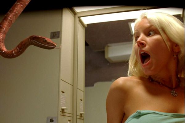 Serpientes a bordo : Foto