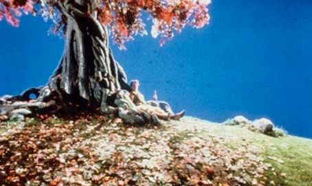 Foto Terry Gilliam