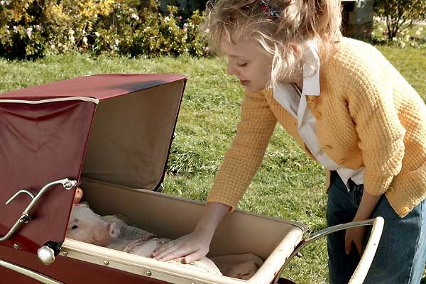 La telaraña de Charlotte : Foto Gary Winick, Dakota Fanning