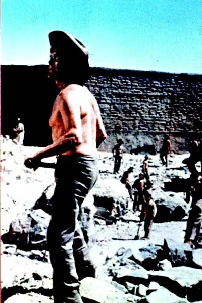 Foto Joseph L. Mankiewicz