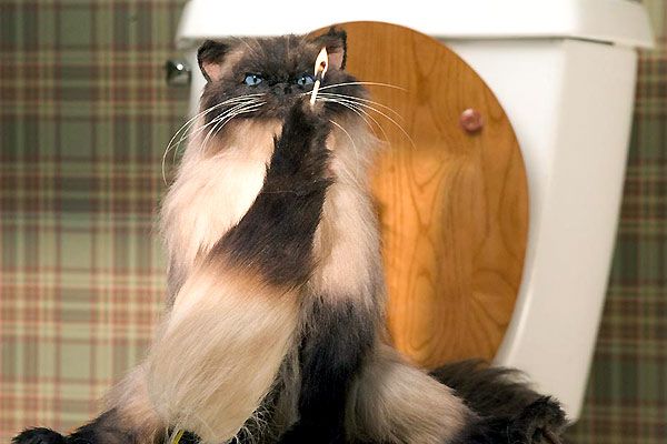 No es otra tonta película de amor : Foto