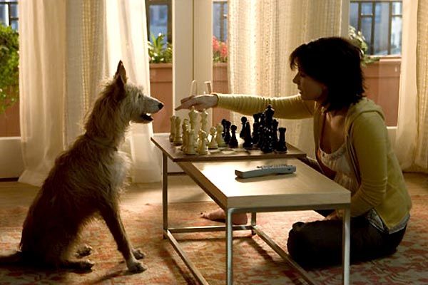 La casa del lago : Foto Sandra Bullock