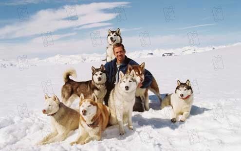 Rescate en la Antártida : Foto Paul Walker