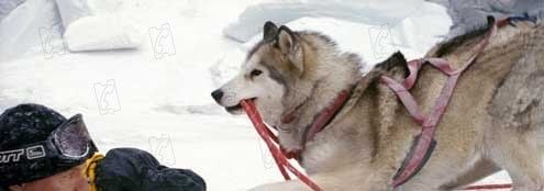 Rescate en la Antártida : Foto Bruce Greenwood