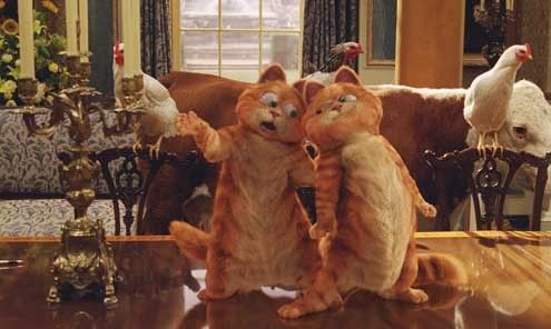 Garfield 2 : Foto Tim Hill