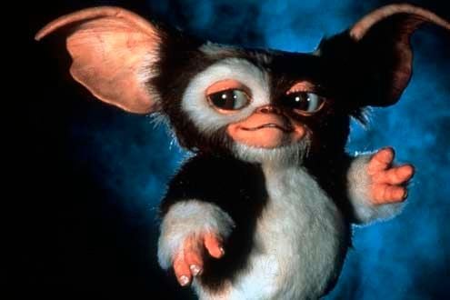 Gremlins 2: La nueva generación : Foto Joe Dante