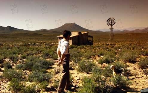 Pregúntale al viento : Foto