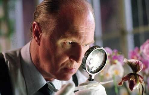 V de Venganza : Foto