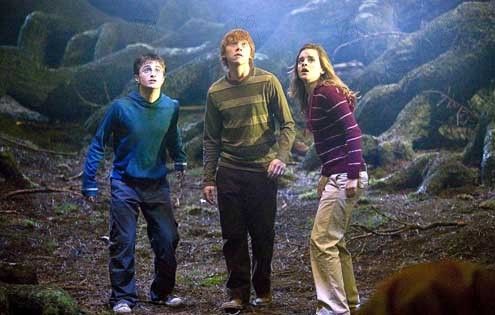Harry Potter y la Orden del Fénix : Foto David Yates, Daniel Radcliffe, Emma Watson, Rupert Grint