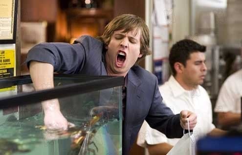 Escuela de tontos : Foto Todd Phillips