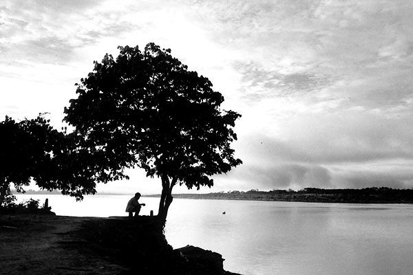 Foto Gus Van Sant, Jane Campion, Gael García Bernal, Mira Nair