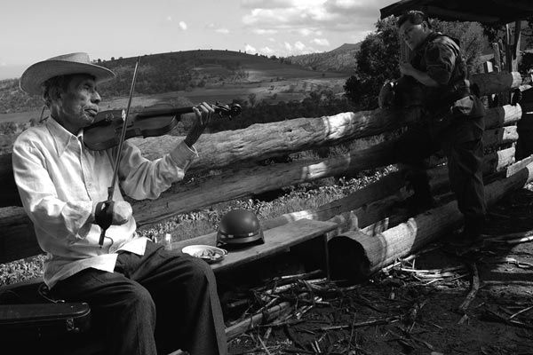 El violín : Foto Francisco Vargas